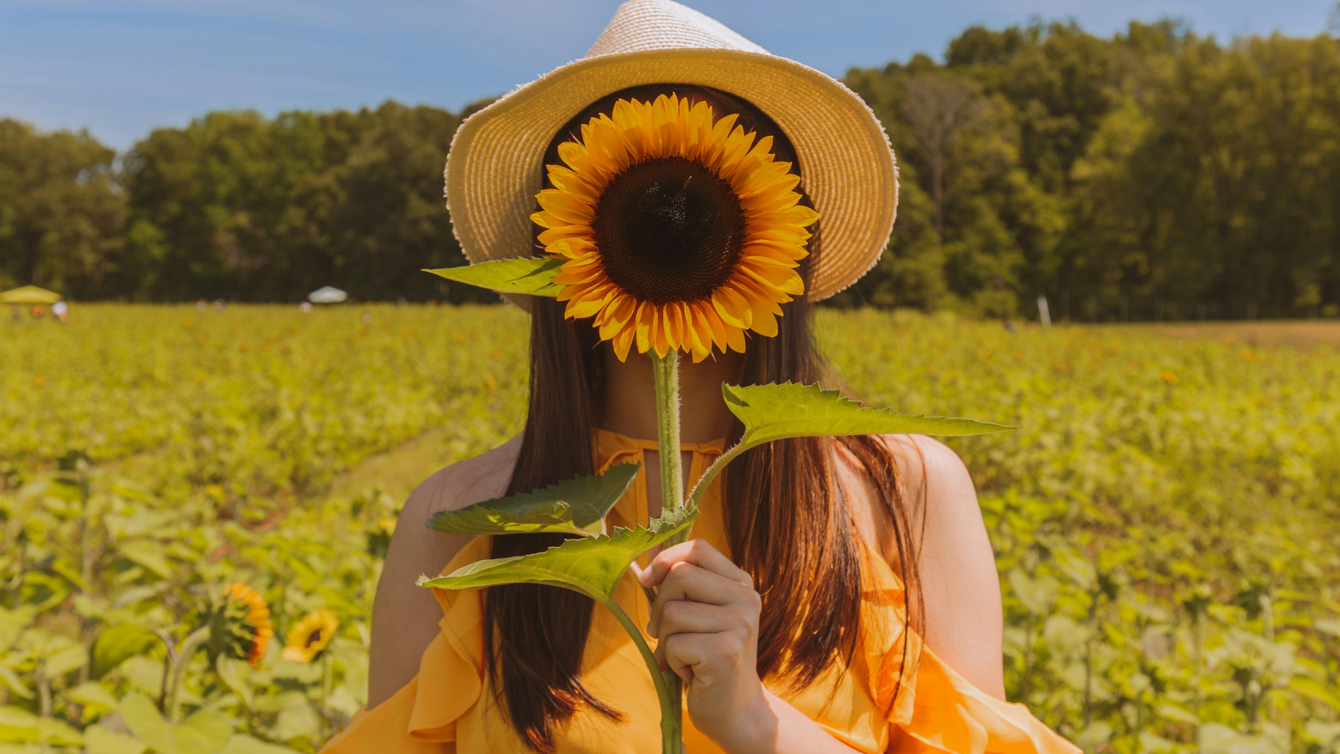 woman holding a sunflower in front of her face