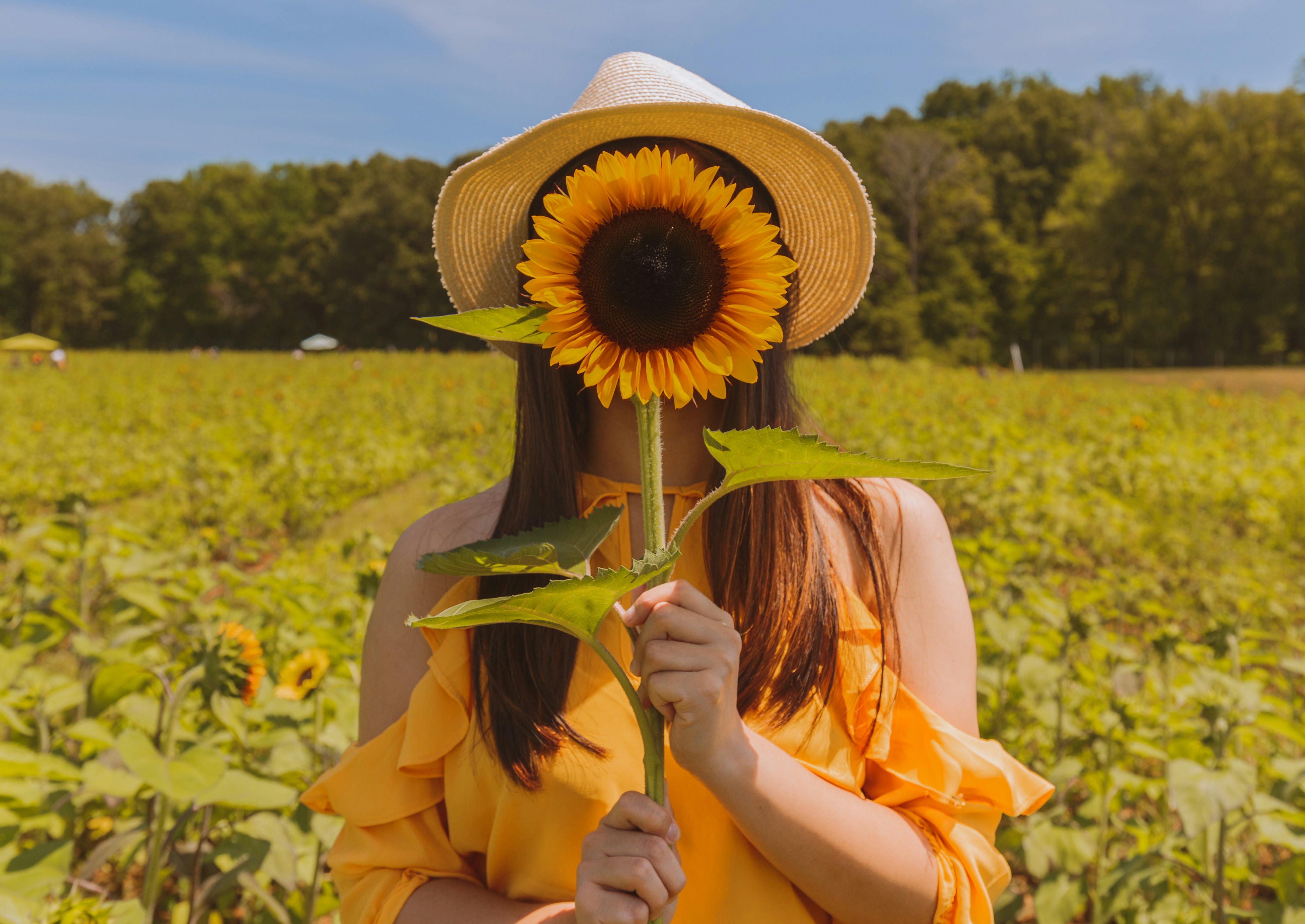 Woman holding a sunflower in front of her face